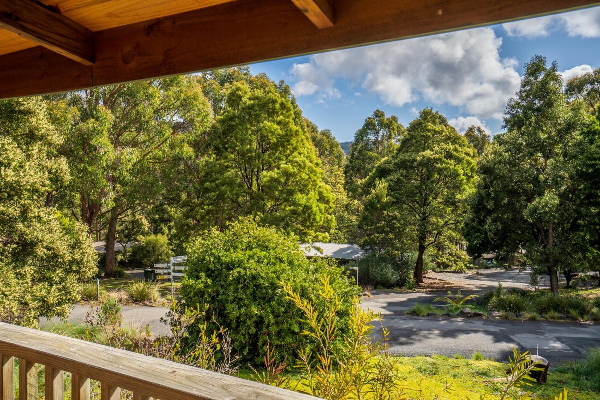 Stewarts Bay Lodge Port Arthur Εξωτερικό φωτογραφία
